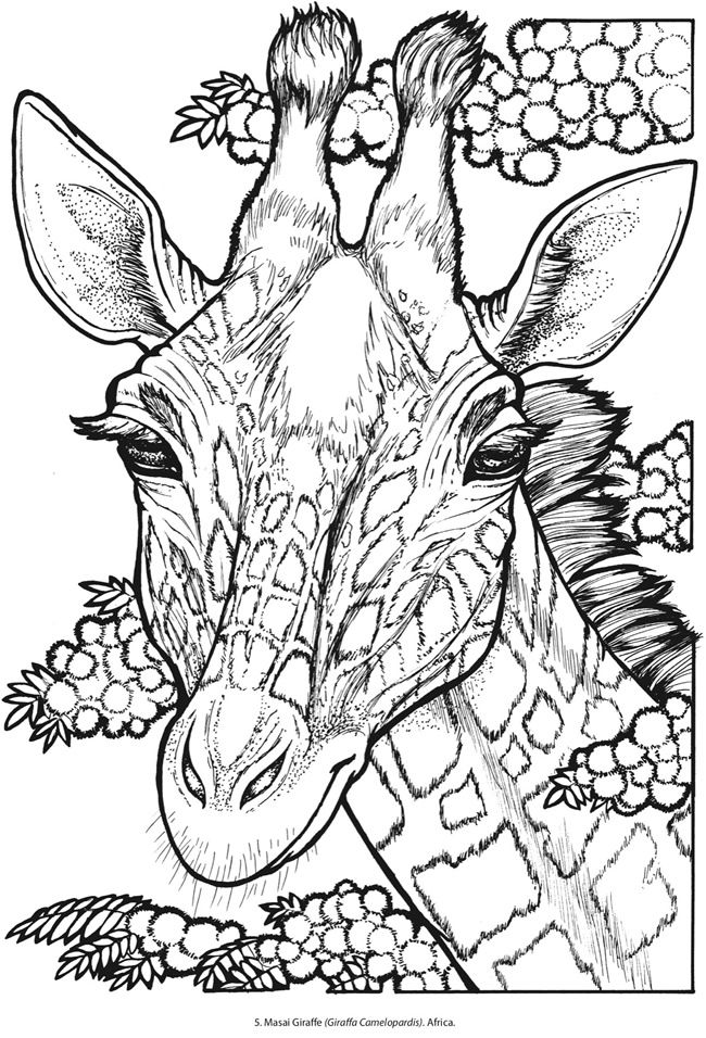 75 Coloring Book Animals Printable 11