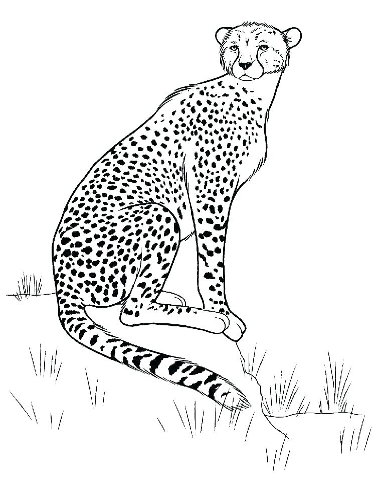 75 Coloring Book Animals Printable 30