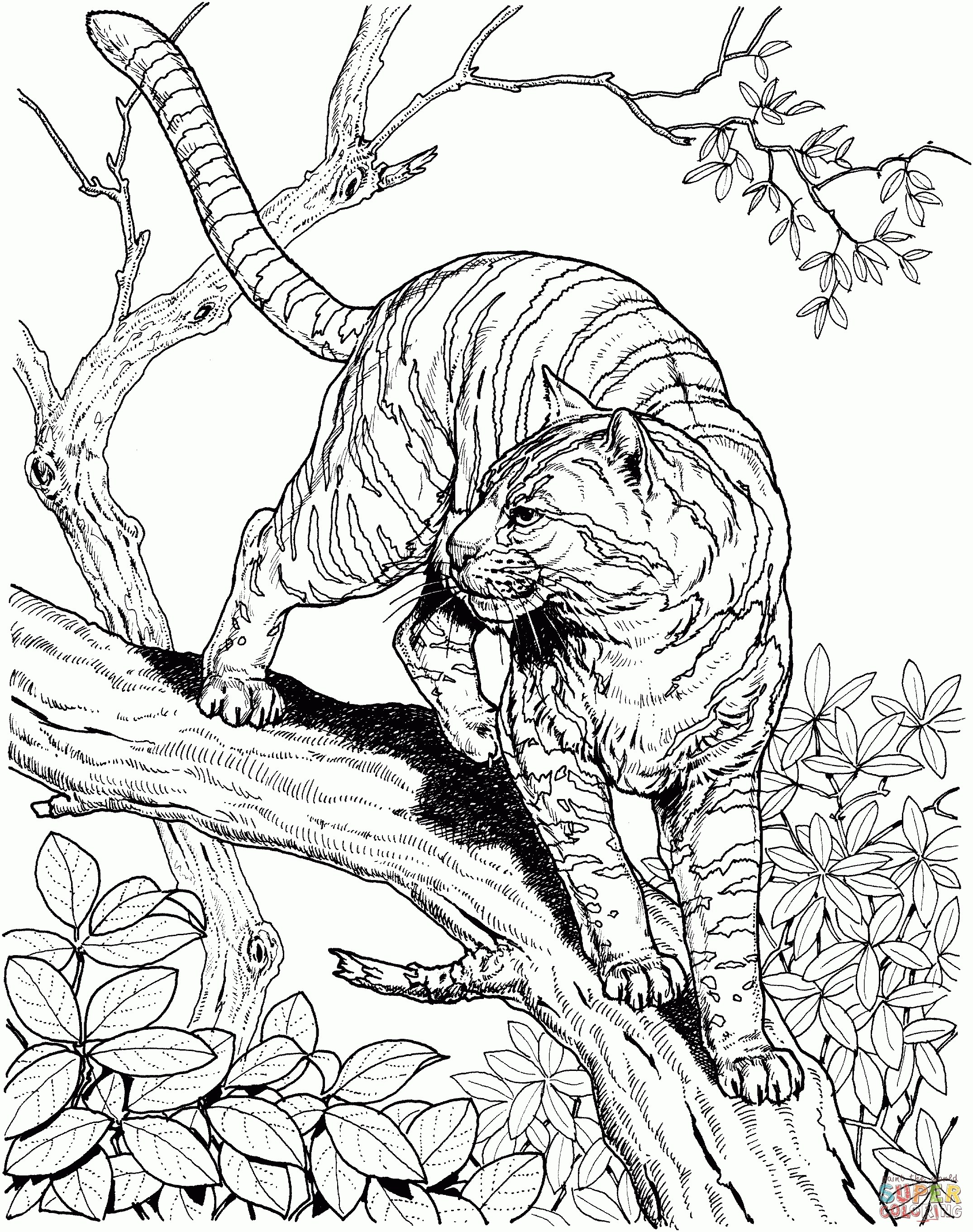 75 Coloring Book Animals Printable 48