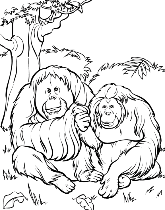 75 Coloring Book Animals Printable 64