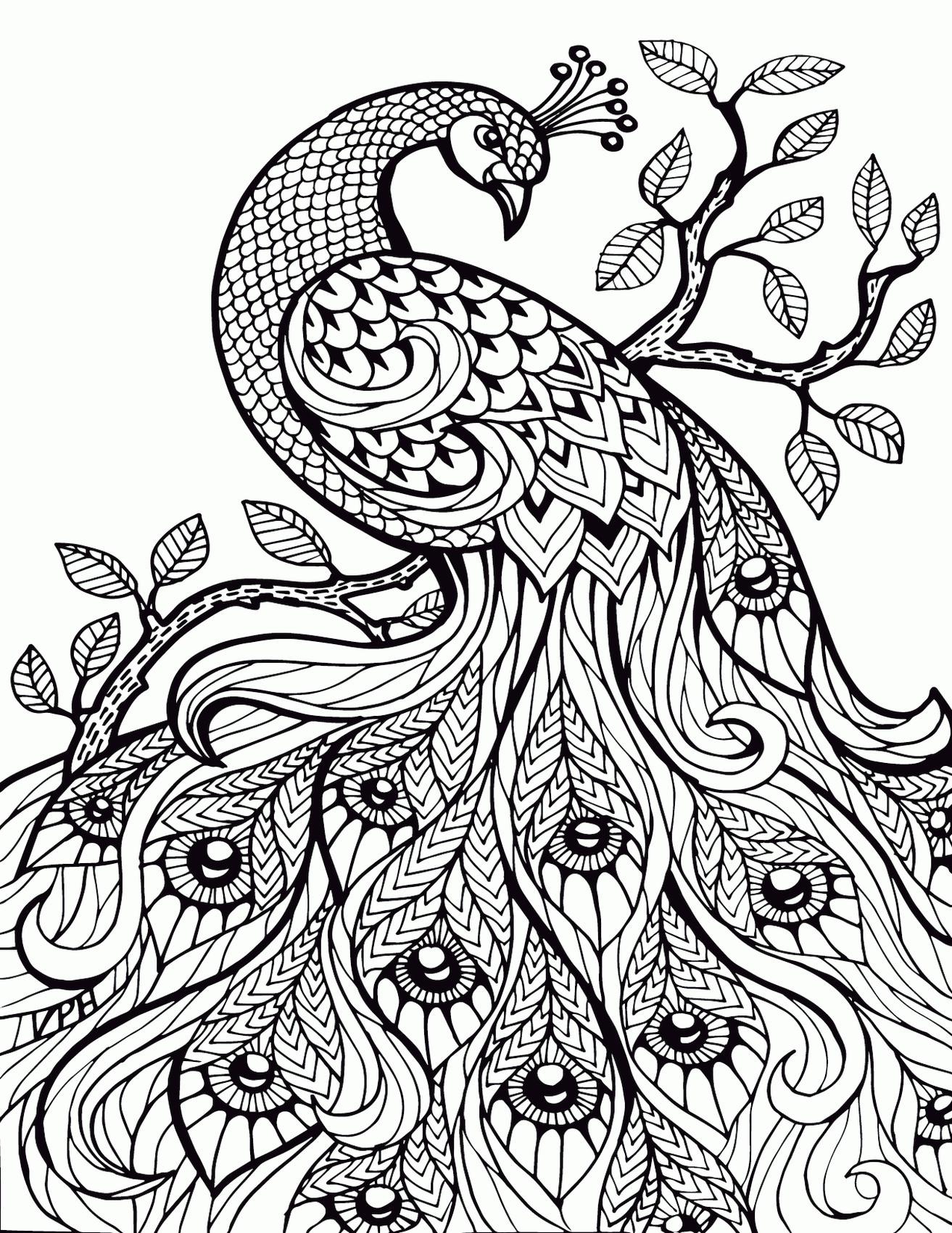 75 Coloring Book Animals Printable 67