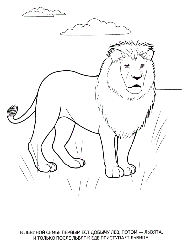 75 Coloring Book Animals Printable 71