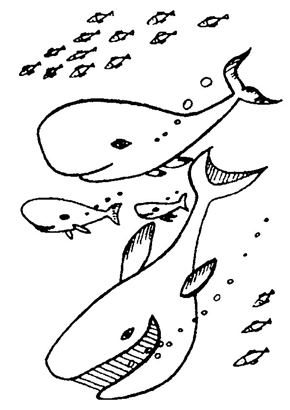 75 Coloring Pages Of Ocean Animals 11