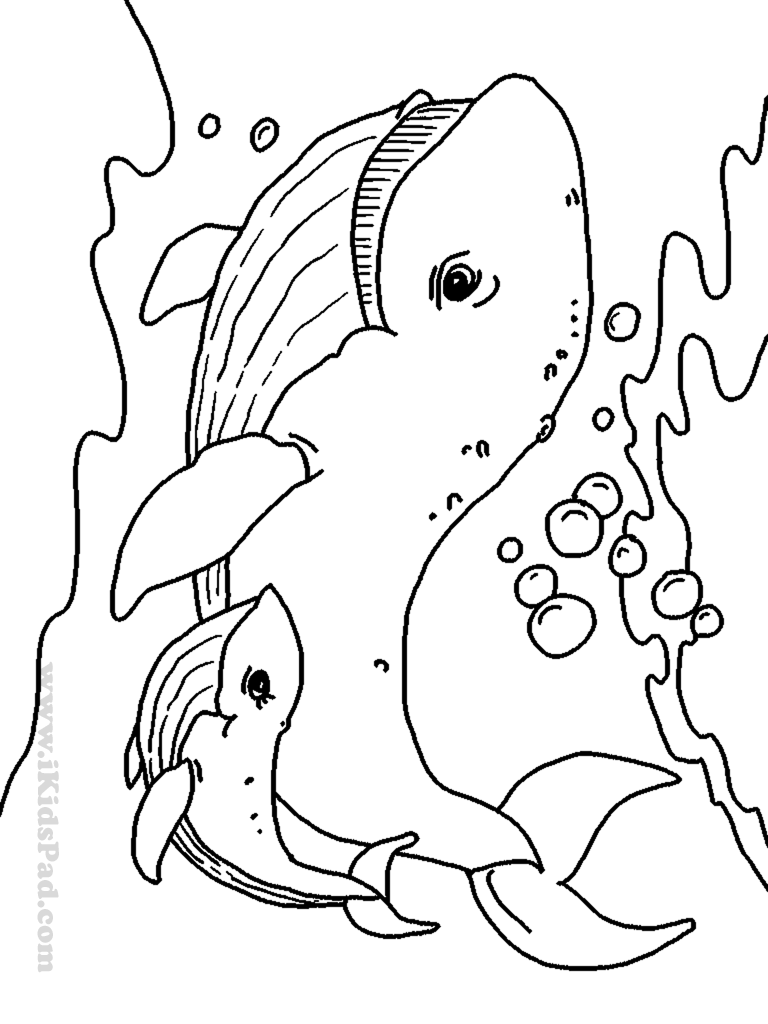 75 Coloring Pages Of Ocean Animals 15