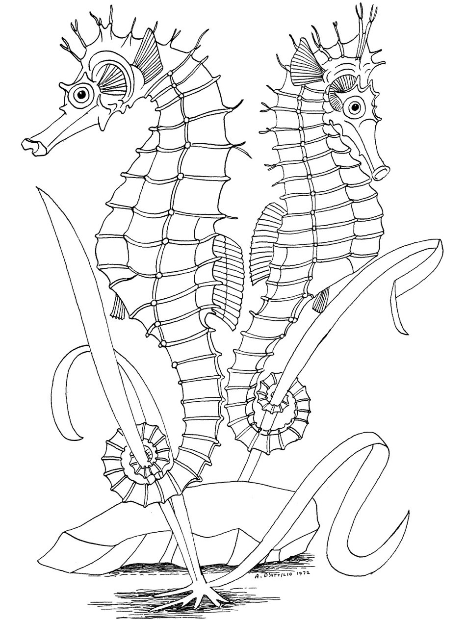 75 Coloring Pages Of Ocean Animals 19