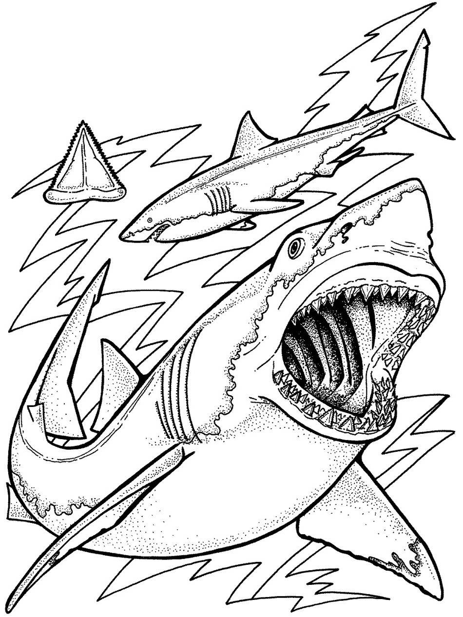 75 Coloring Pages Of Ocean Animals 2