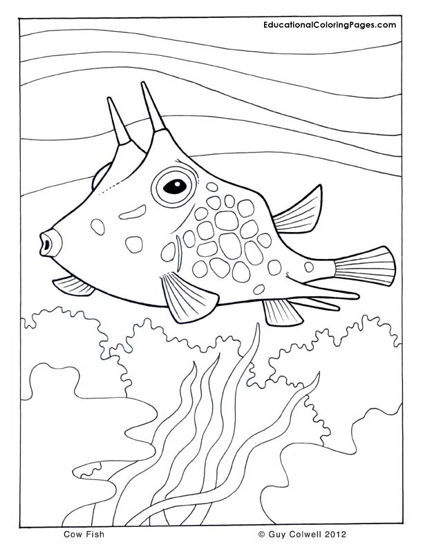 75 Coloring Pages Of Ocean Animals 23