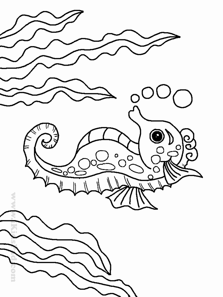 75 Coloring Pages Of Ocean Animals 27