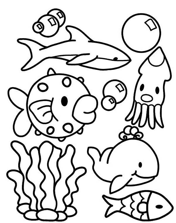 75 Coloring Pages Of Ocean Animals 33