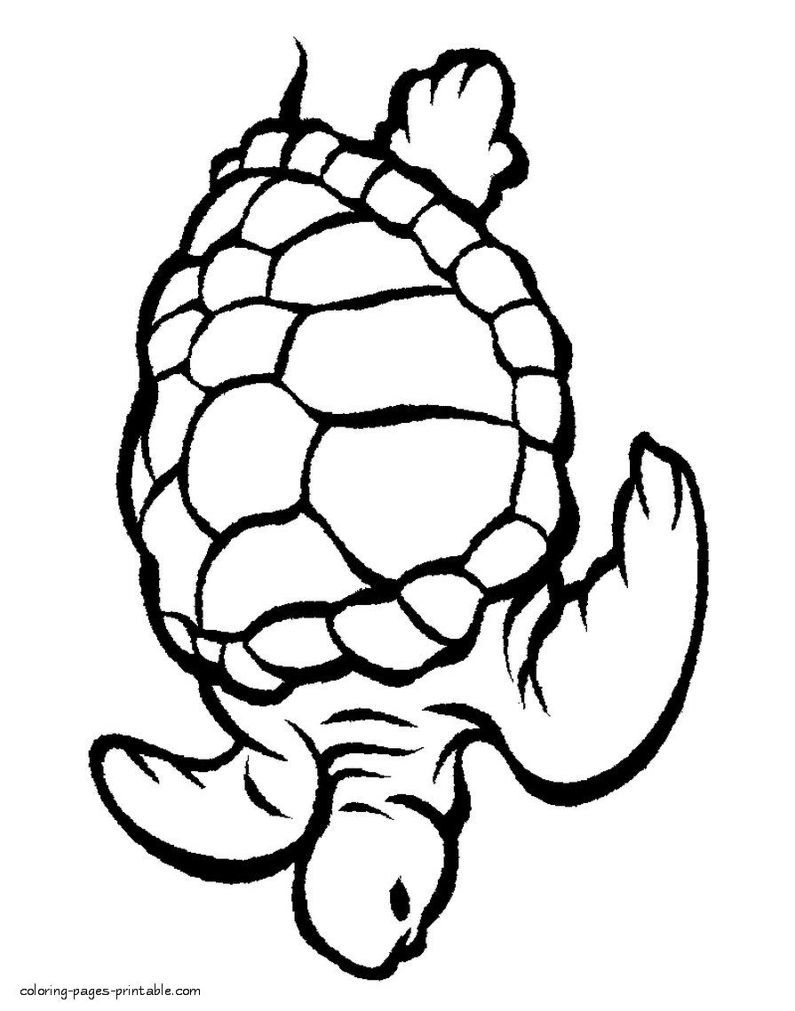 75 Coloring Pages Of Ocean Animals 36