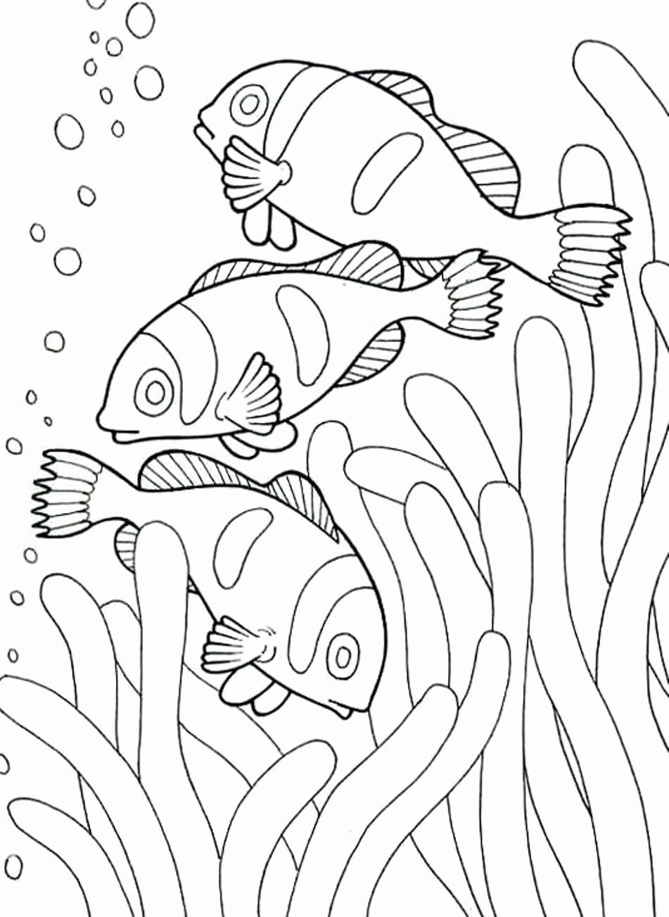 75 Coloring Pages Of Ocean Animals 38