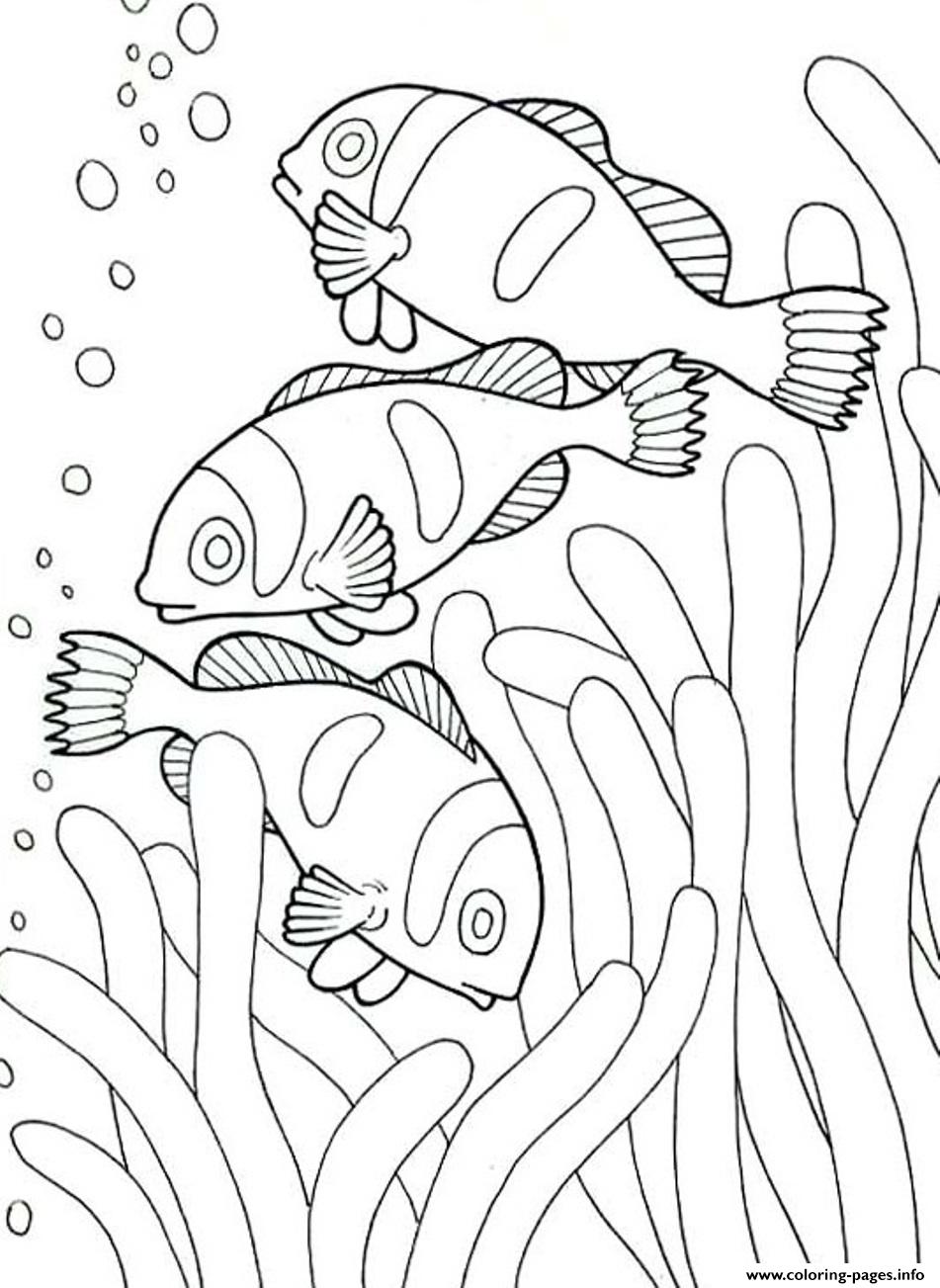 75 Coloring Pages Of Ocean Animals 44