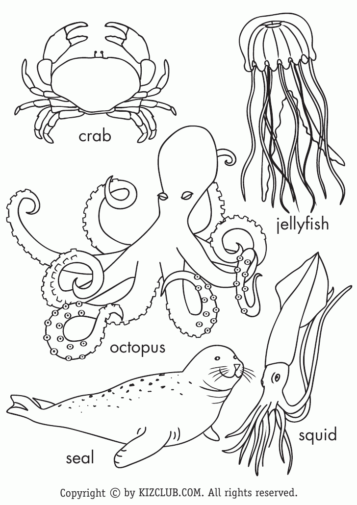 75 Coloring Pages Of Ocean Animals 51