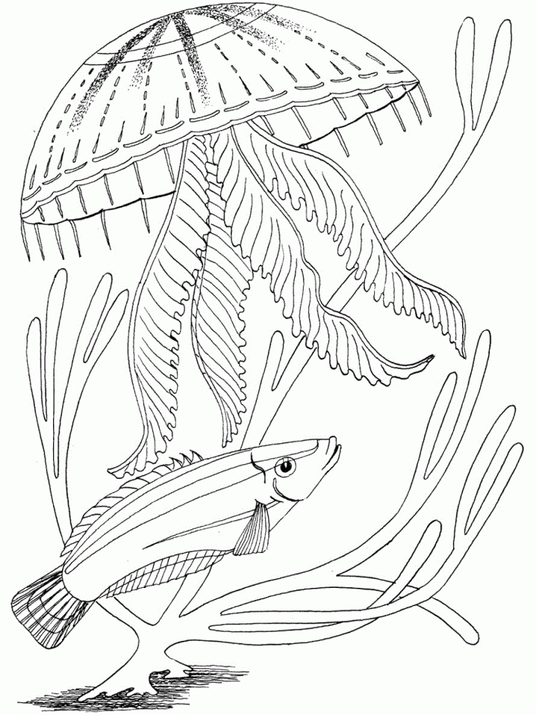 75 Coloring Pages Of Ocean Animals 61