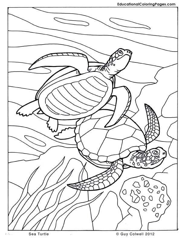 75 Coloring Pages Of Ocean Animals 69