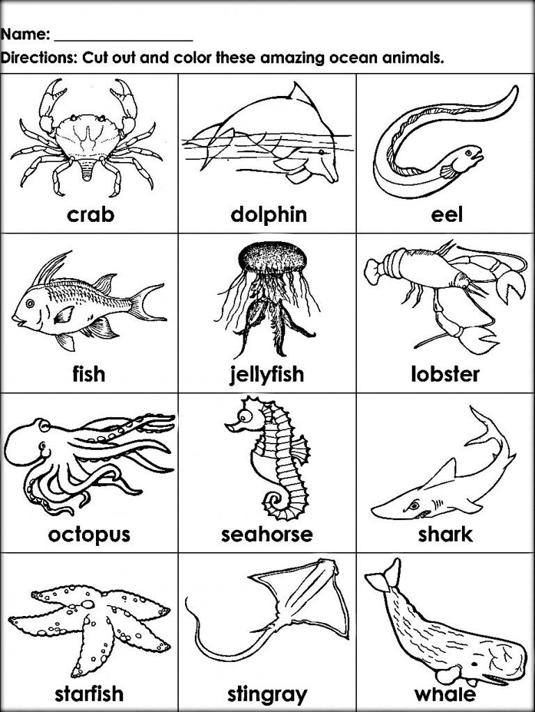 75 Coloring Pages Of Ocean Animals 70