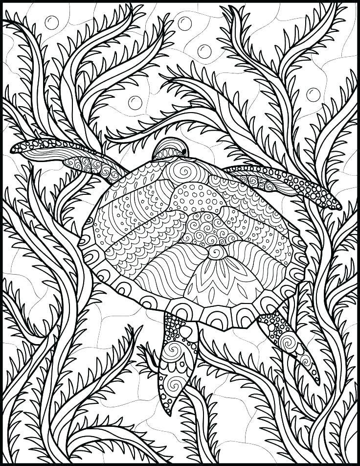 75 Coloring Pages Of Ocean Animals 75