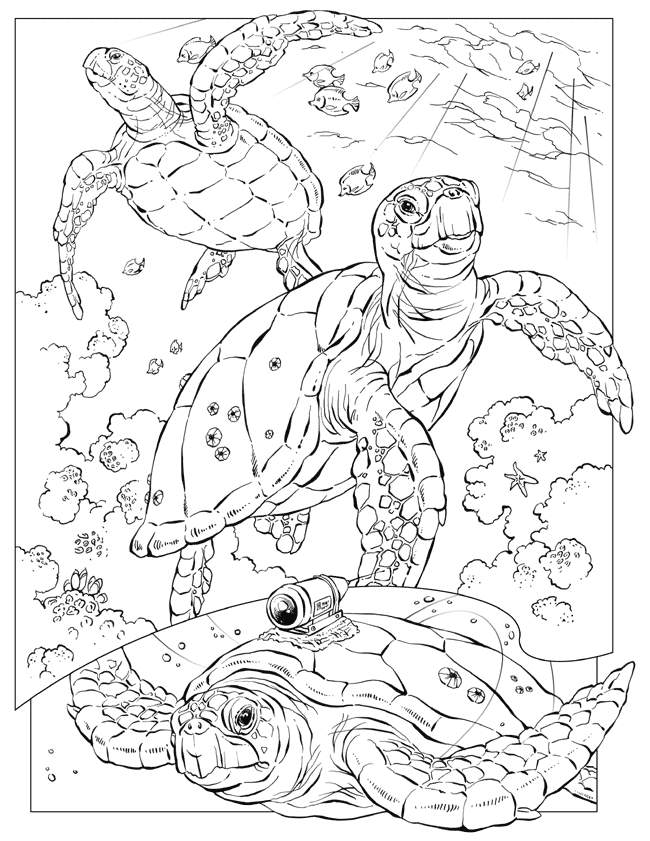 75 Coloring Pages Of Ocean Animals 85