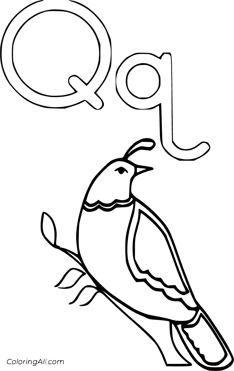 Coloring Pages Letter Q 37