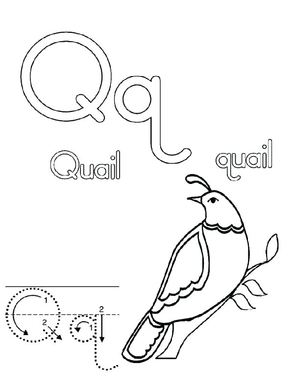 Coloring Pages Letter Q 42