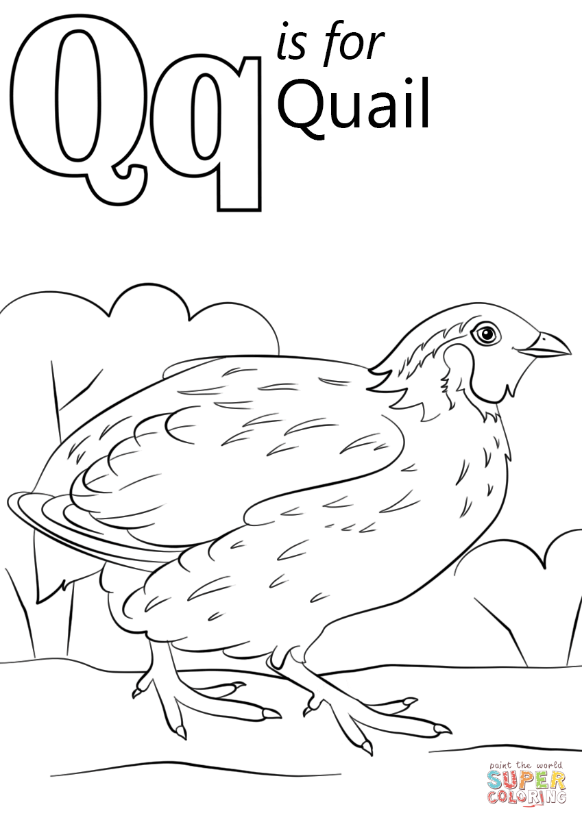 Coloring Pages Letter Q 62