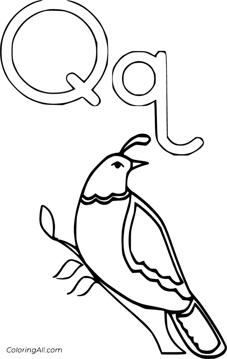 Coloring Pages Letter Q 8