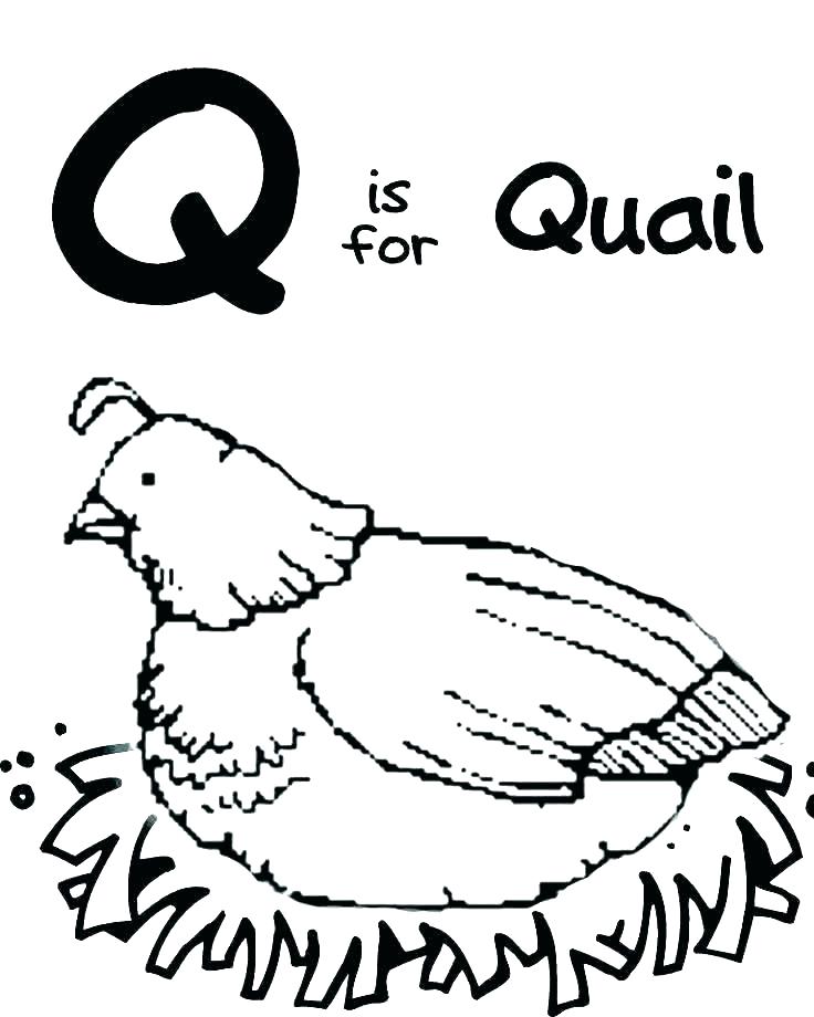 Coloring Pages Letter Q 83