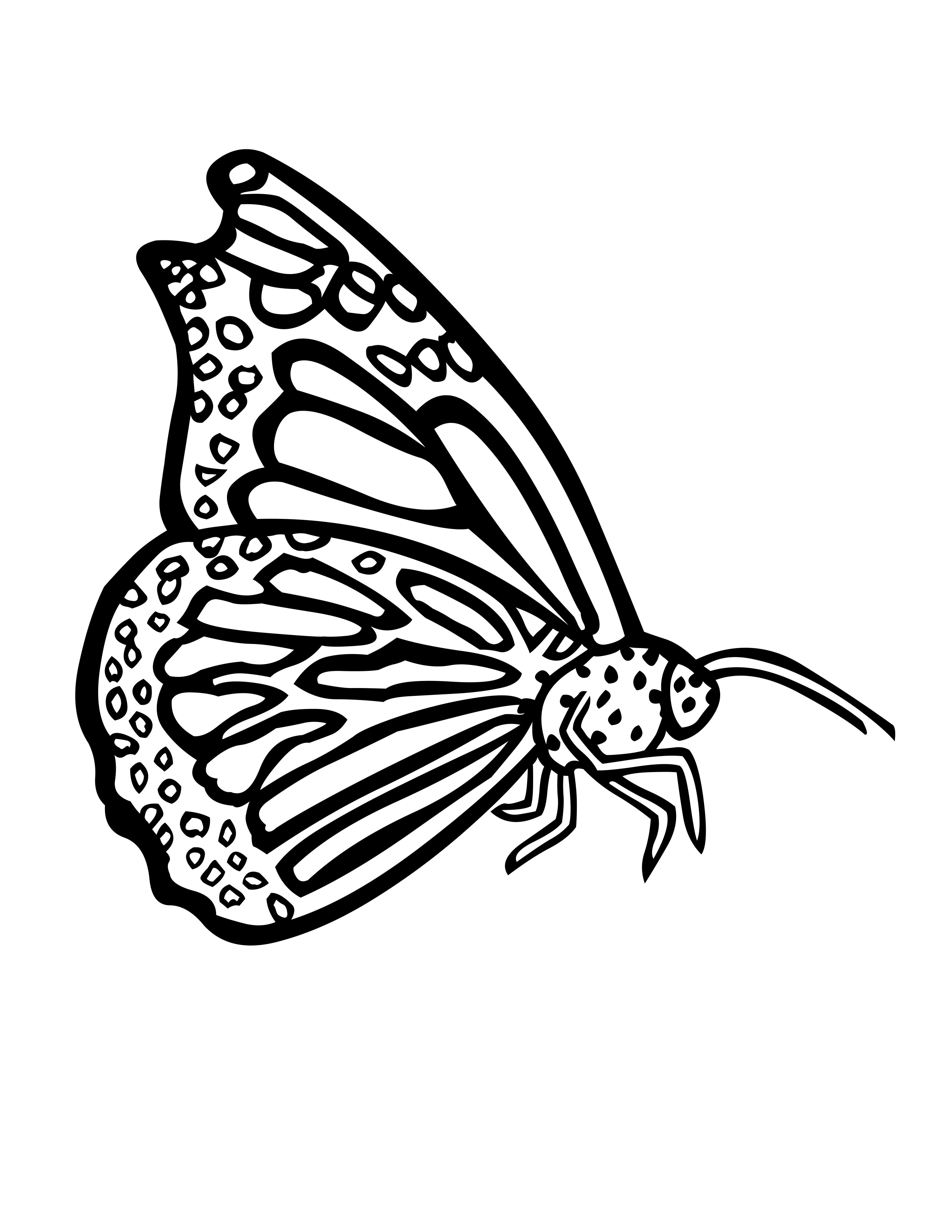 Coloring Picture Of A Butterfly 1