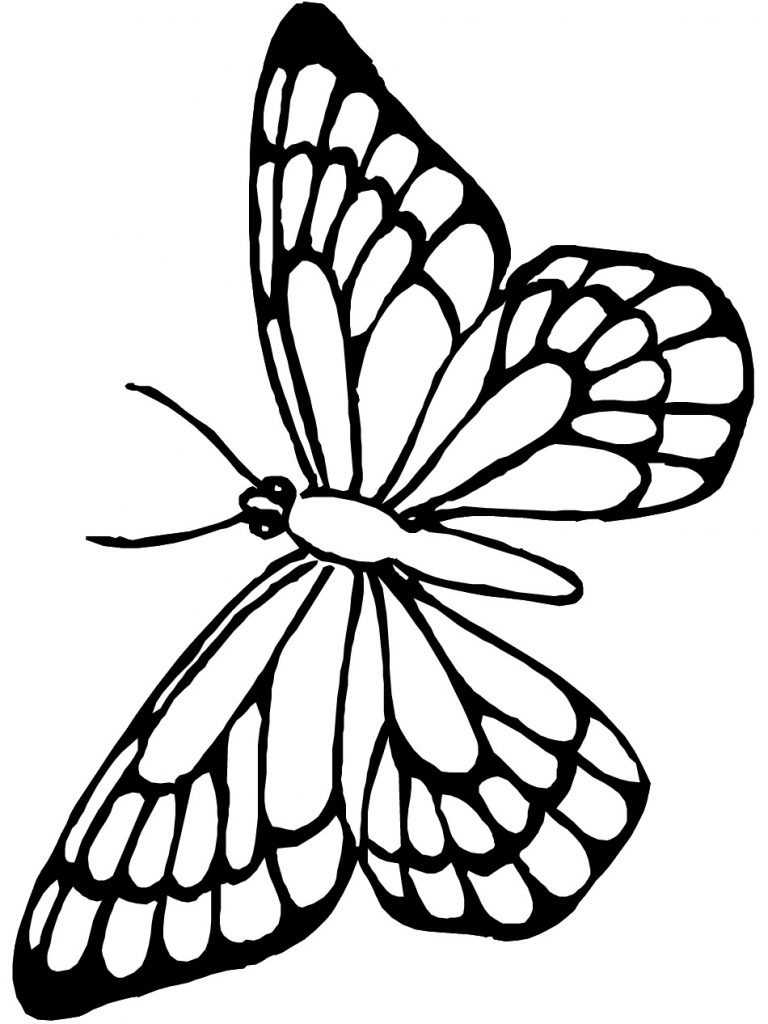 Coloring Picture Of A Butterfly 11