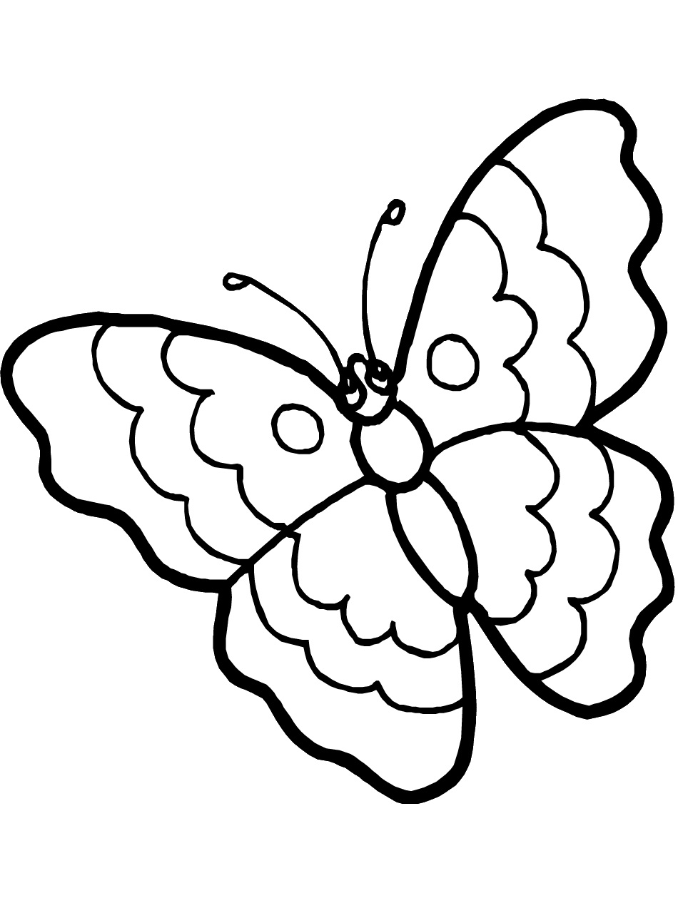 Coloring Picture Of A Butterfly 14