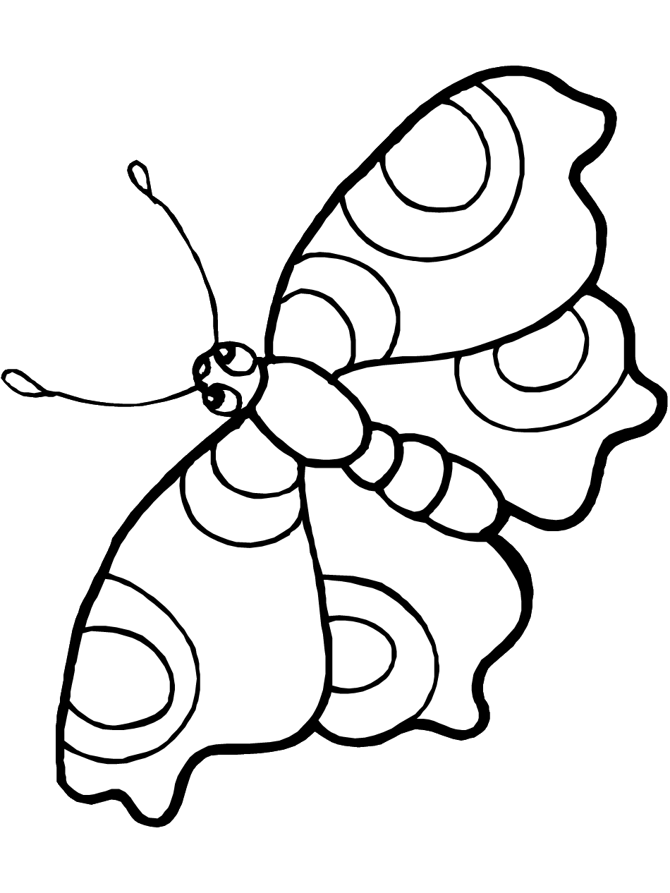 Coloring Picture Of A Butterfly 16