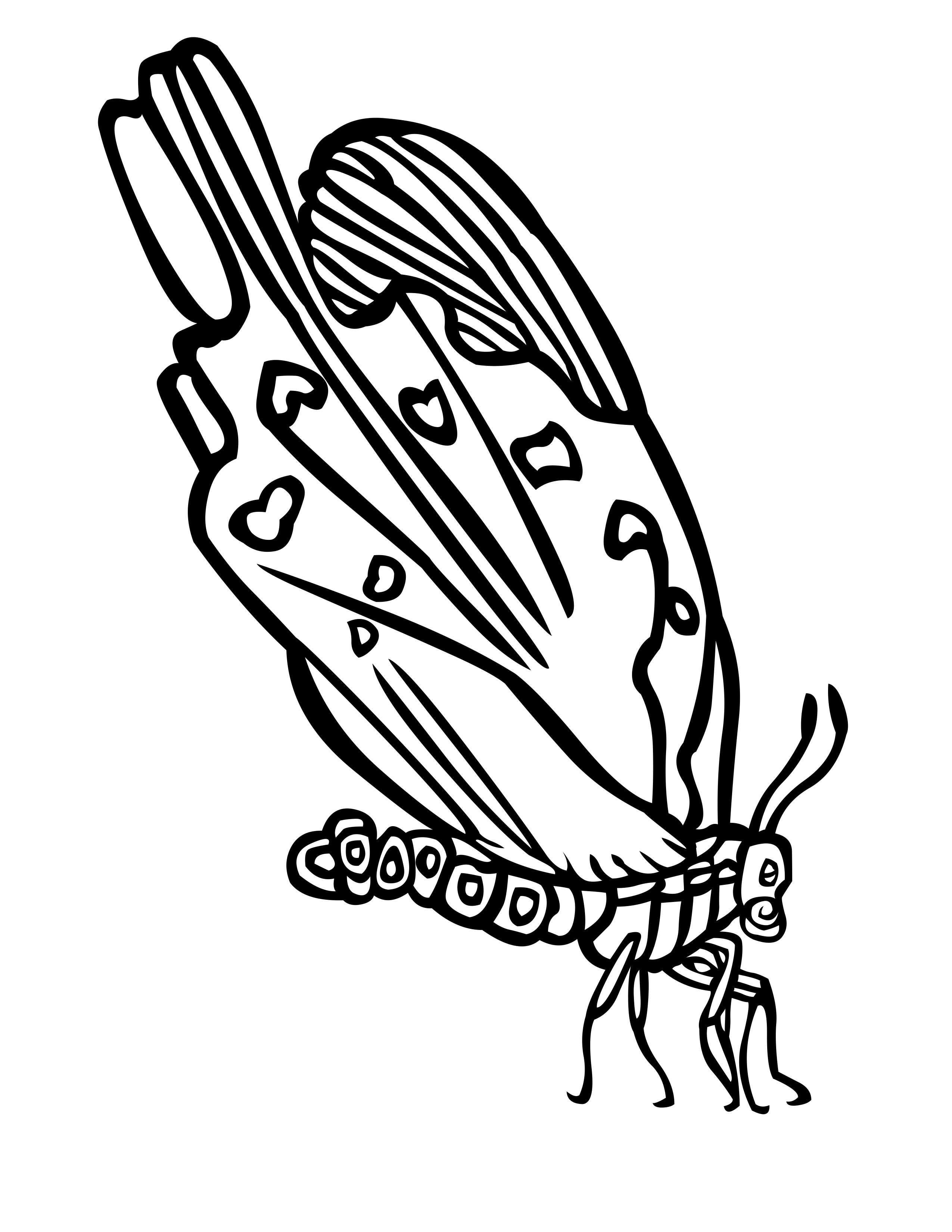 Coloring Picture Of A Butterfly 17