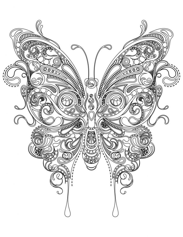 Coloring Picture Of A Butterfly 19