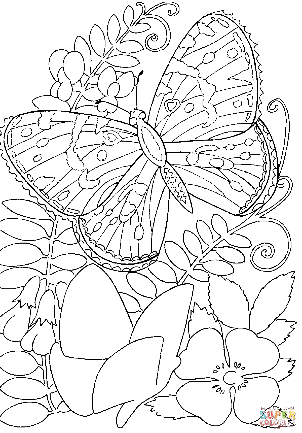 Coloring Picture Of A Butterfly 20