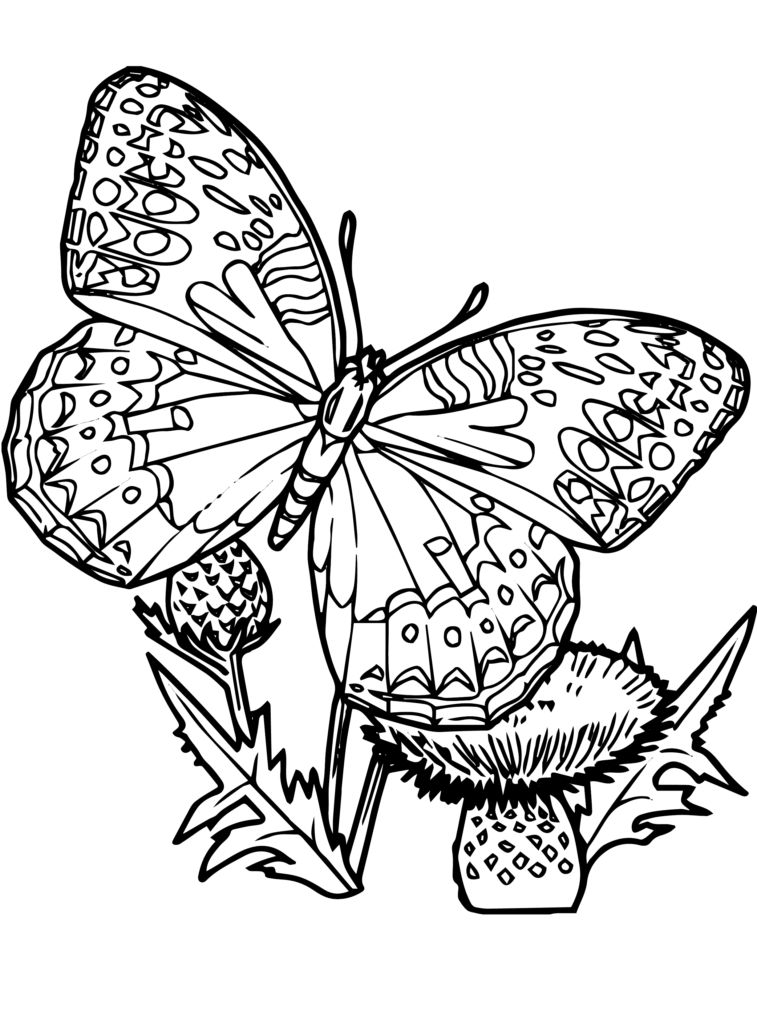 Coloring Picture Of A Butterfly 23