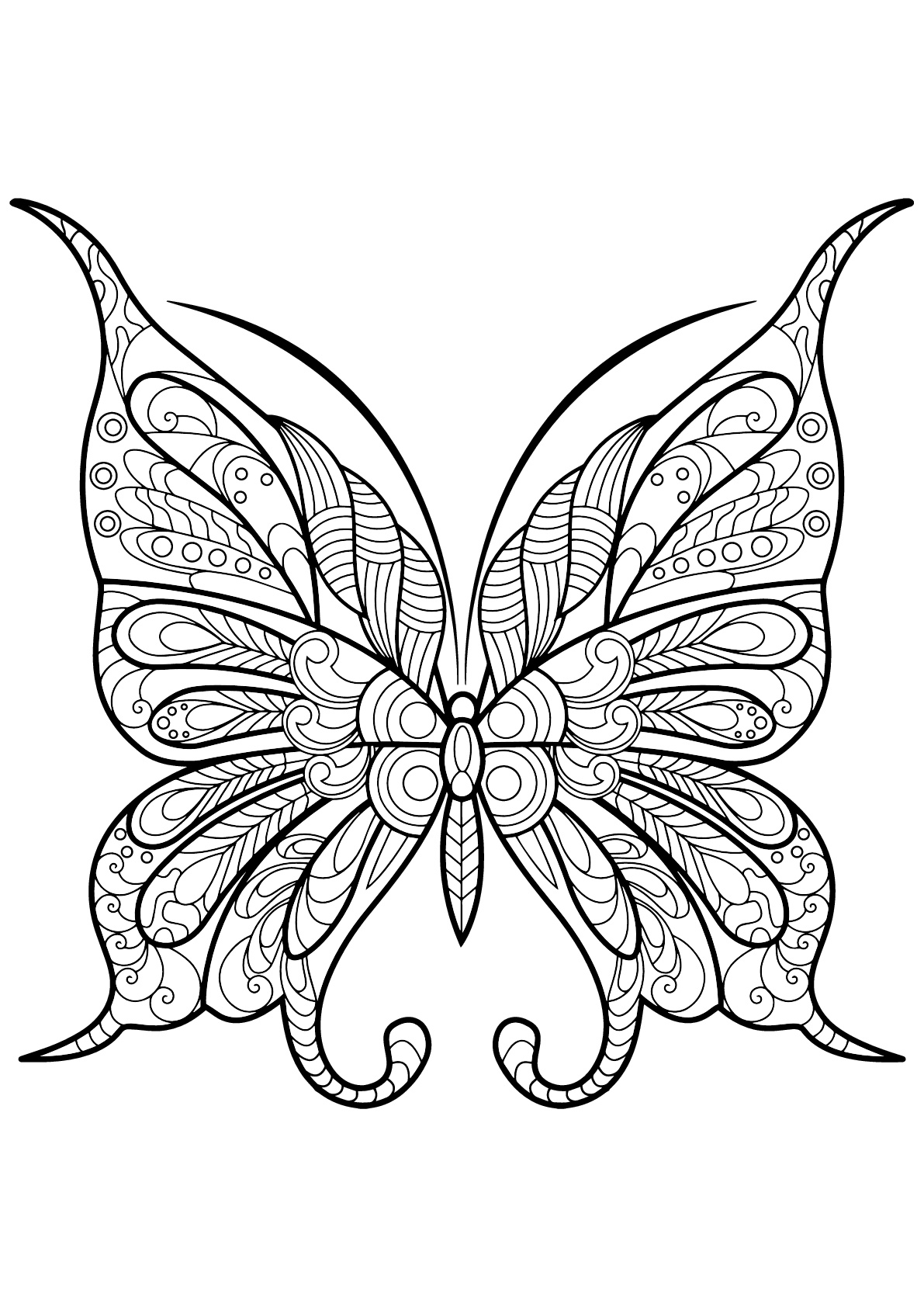 Coloring Picture Of A Butterfly 24