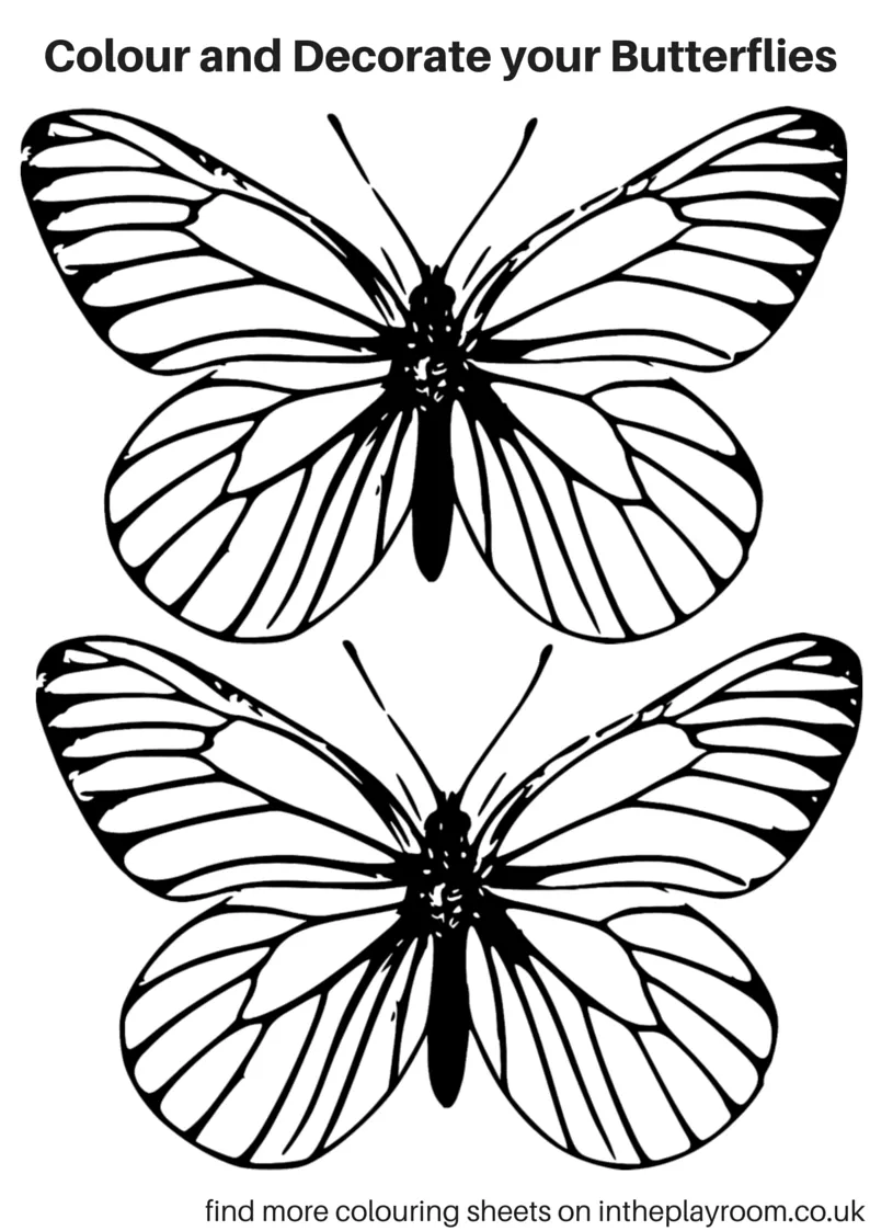 Coloring Picture Of A Butterfly 27