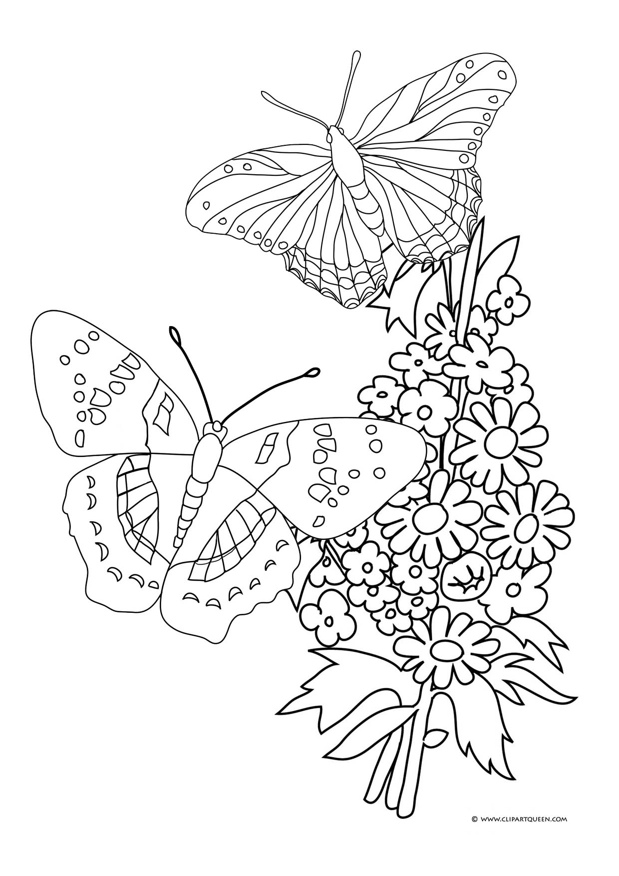 Coloring Picture Of A Butterfly 29