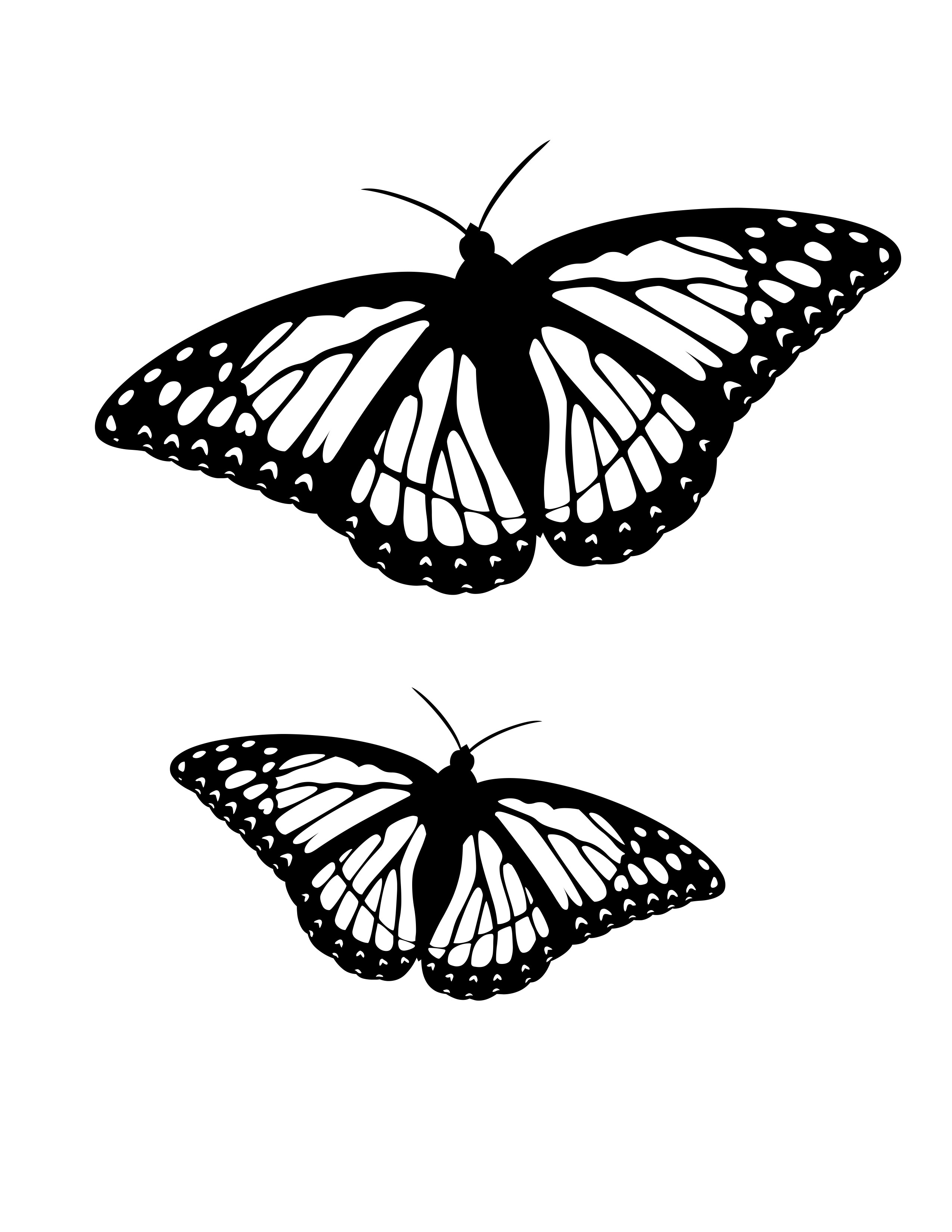 Coloring Picture Of A Butterfly 3