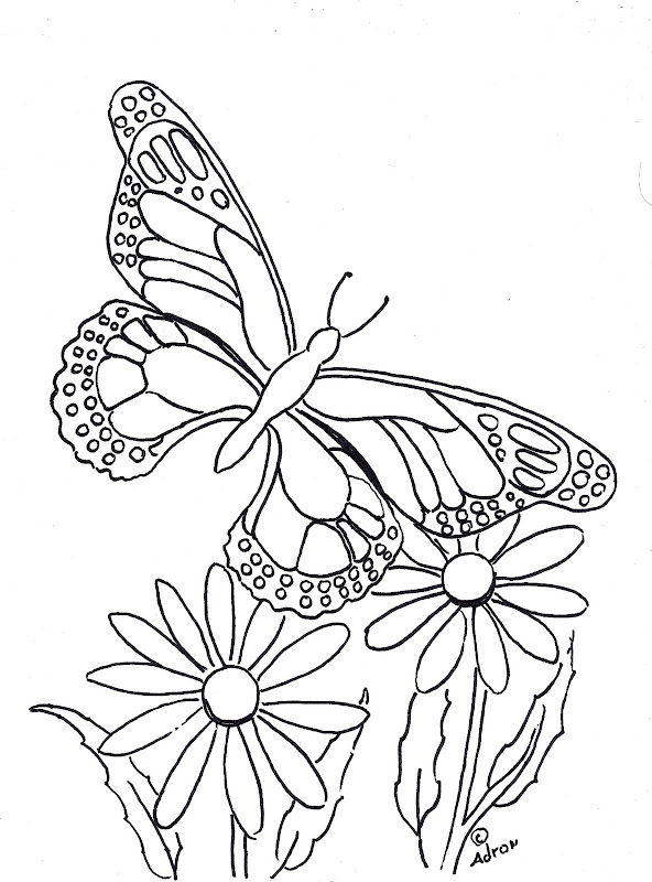 Coloring Picture Of A Butterfly 33