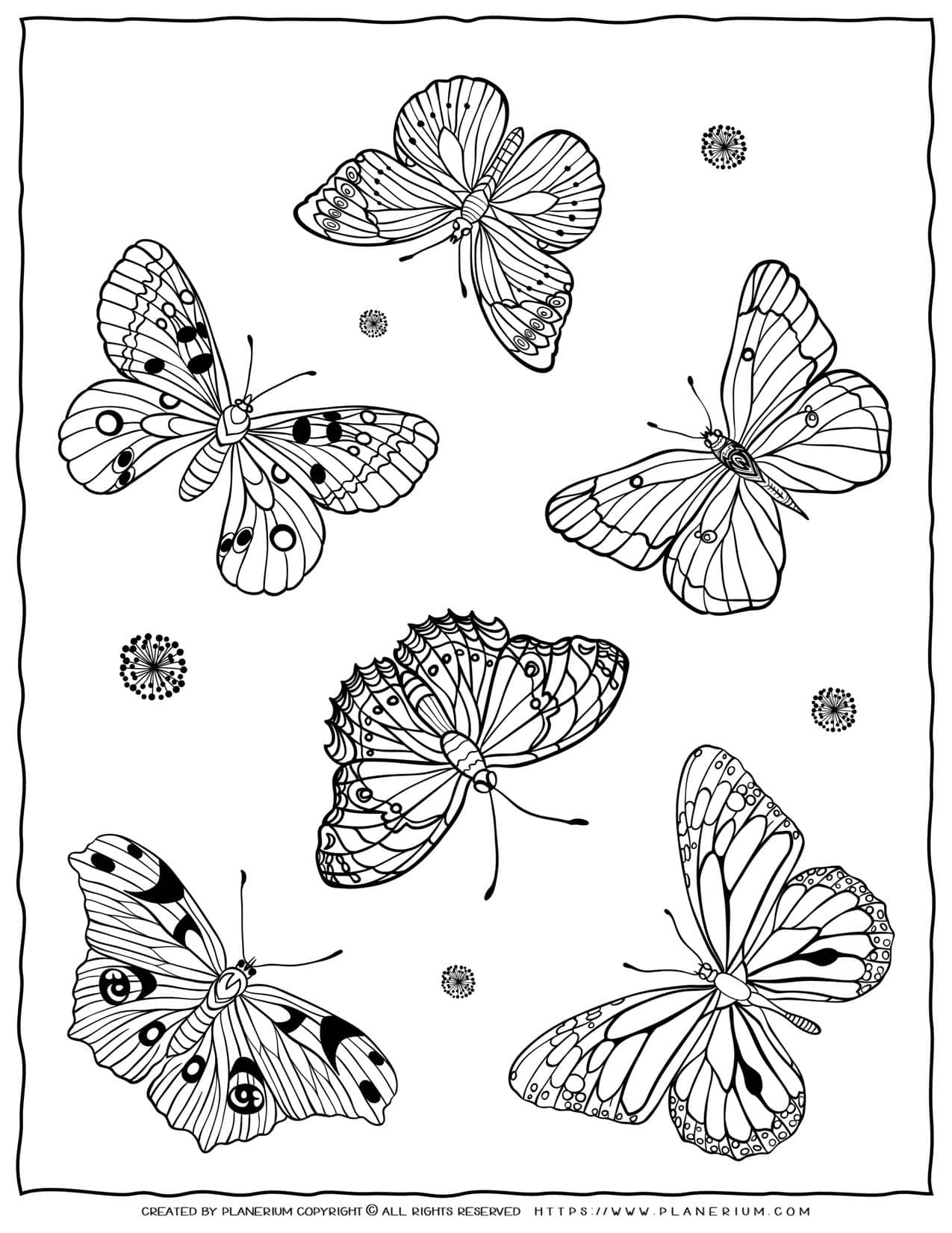 Coloring Picture Of A Butterfly 38