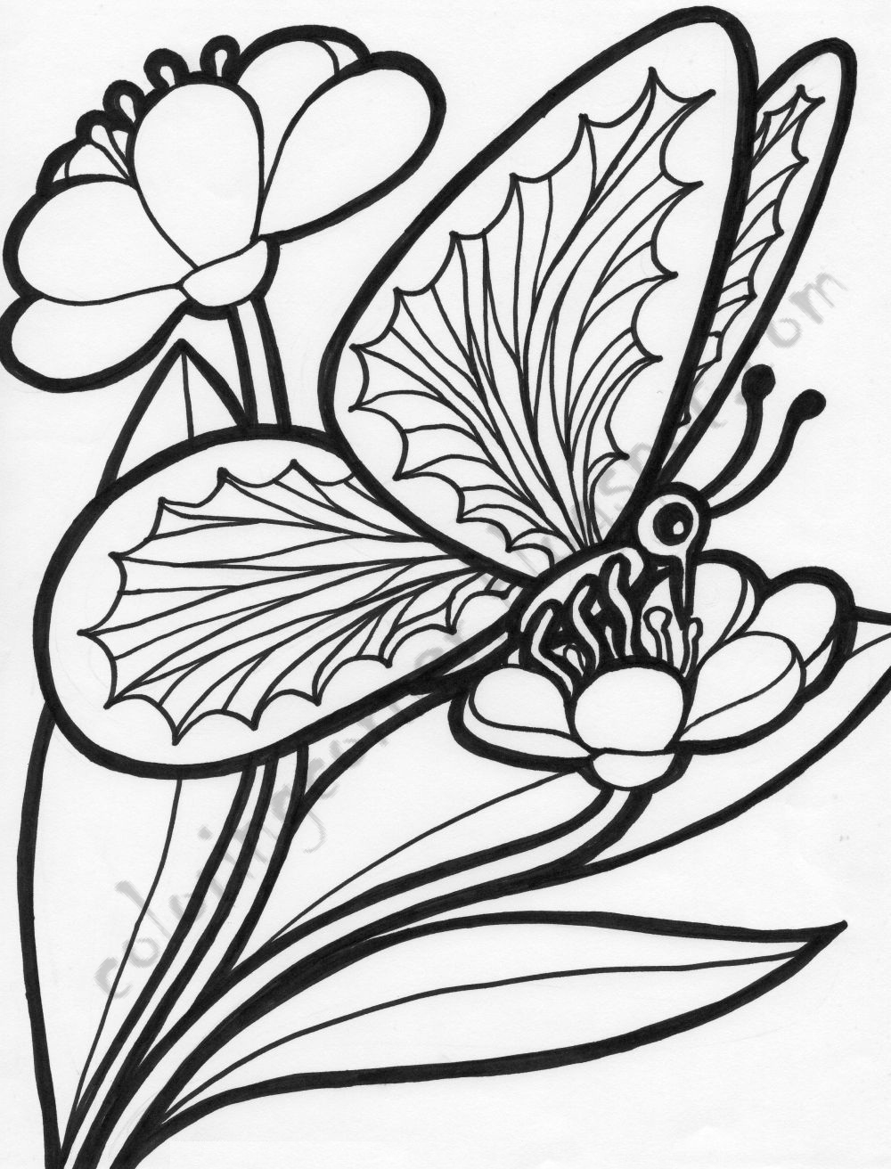 Coloring Picture Of A Butterfly 45