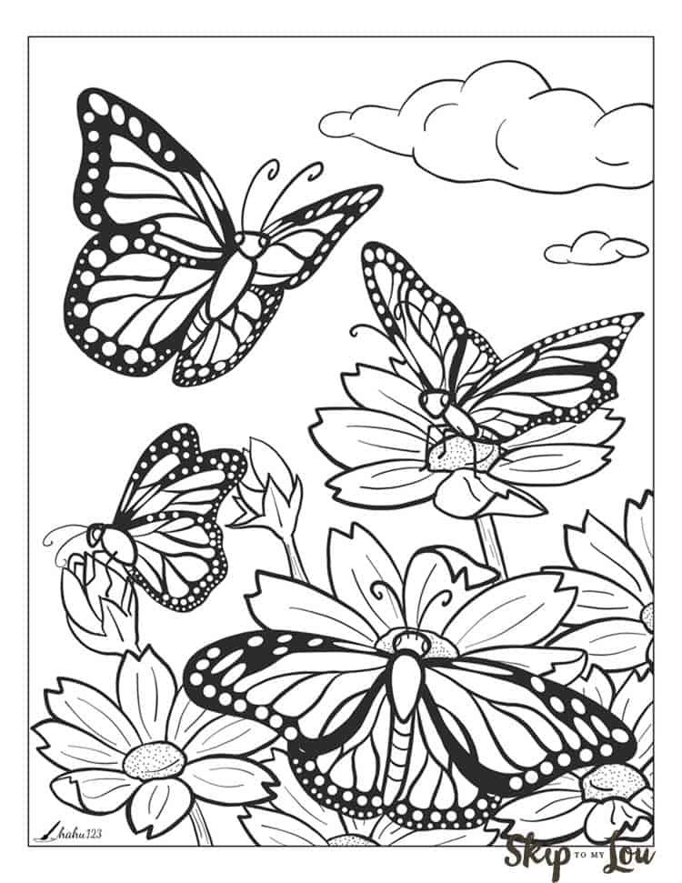 Coloring Picture Of A Butterfly 46