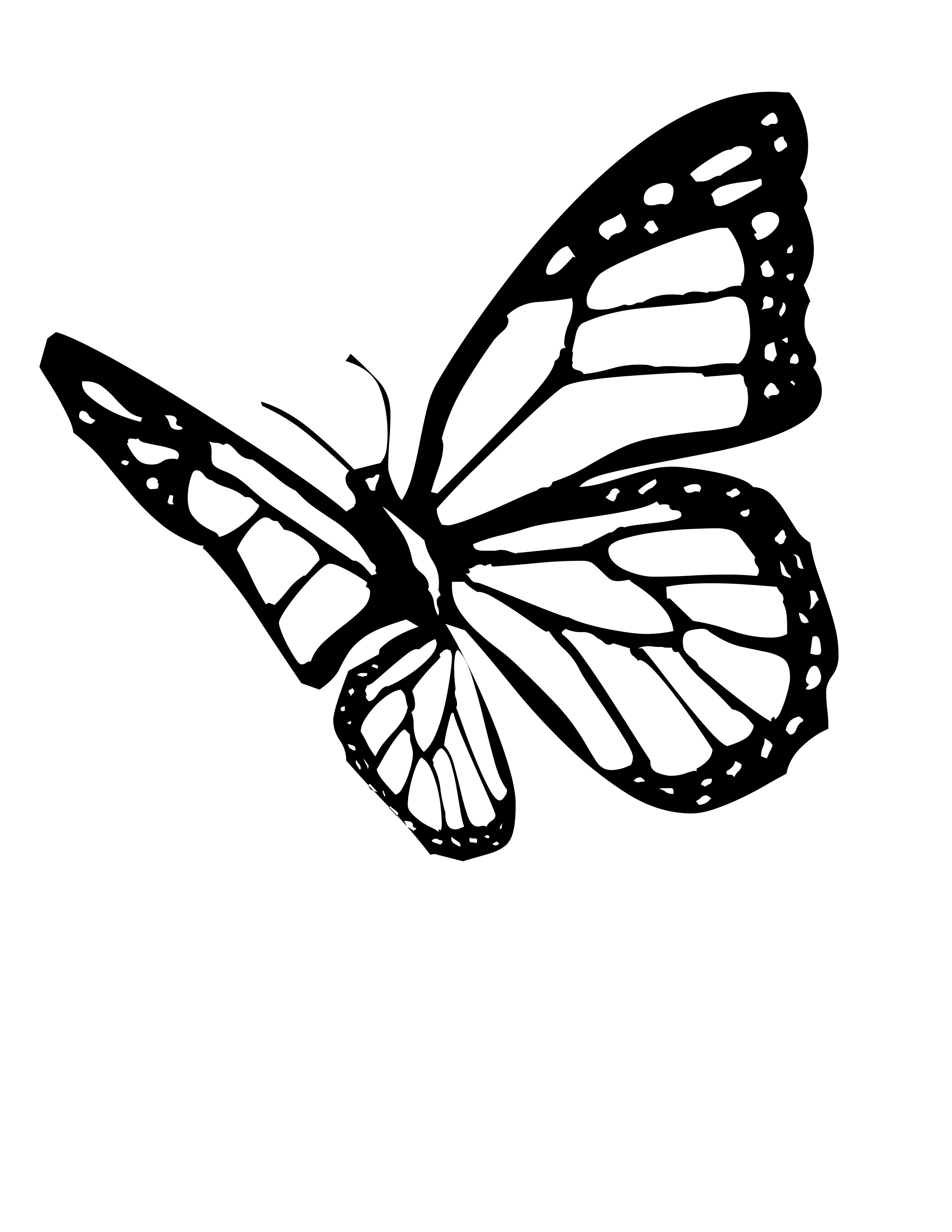 Coloring Picture Of A Butterfly 48