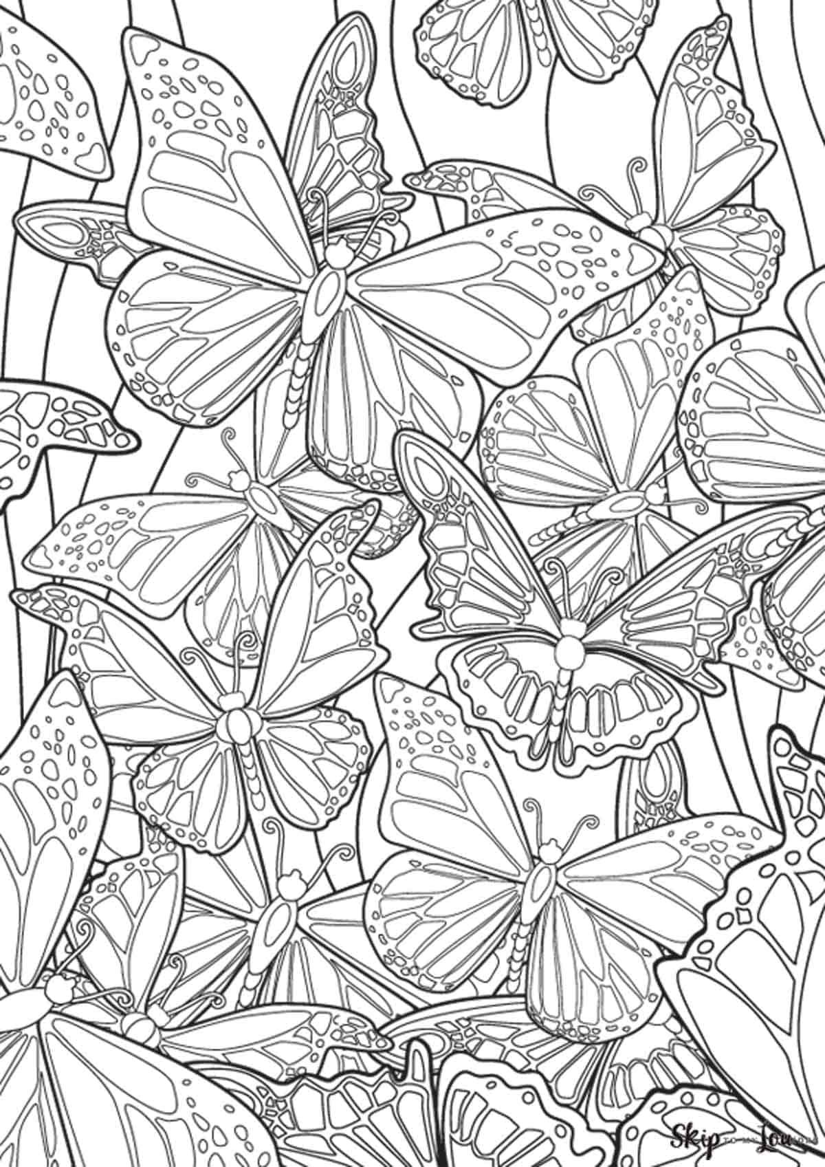 Coloring Picture Of A Butterfly 5