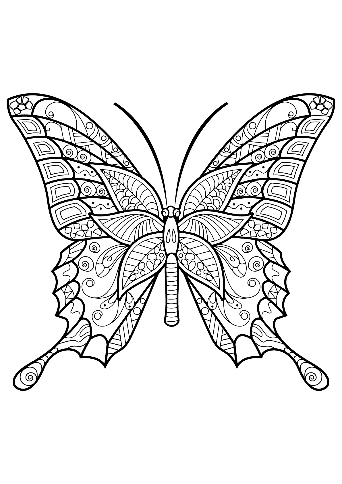 Coloring Picture Of A Butterfly 52