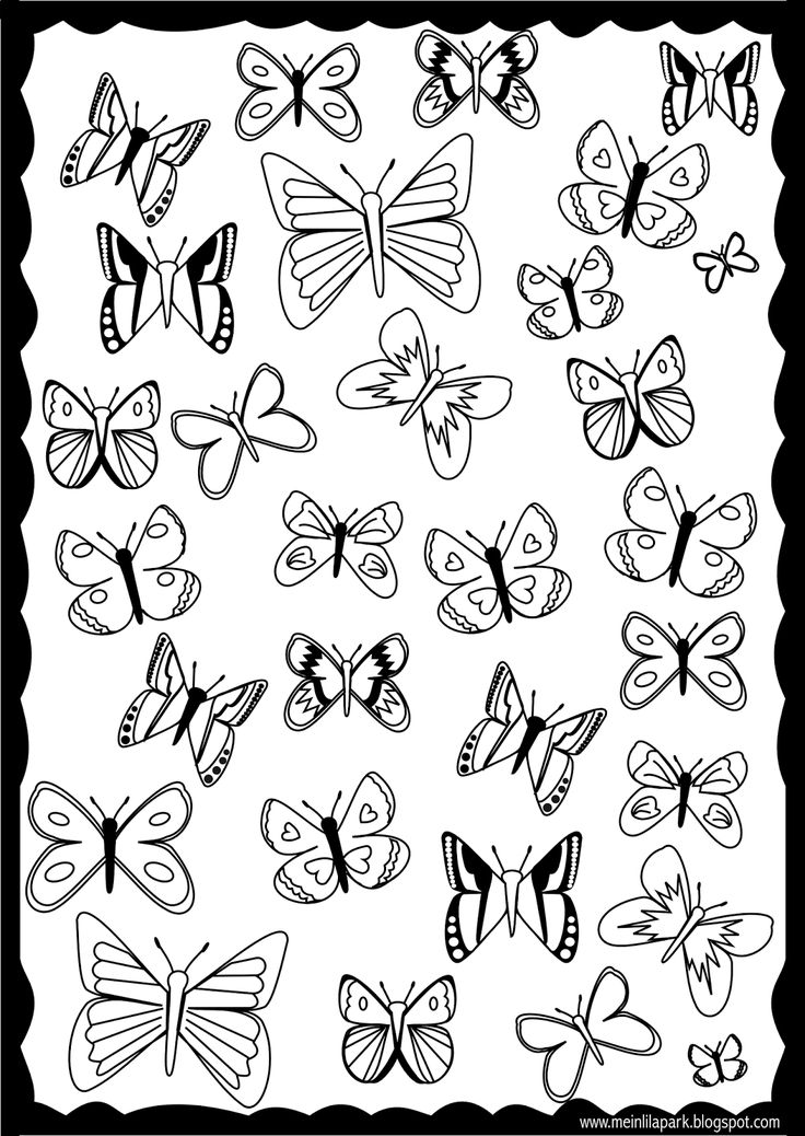 Coloring Picture Of A Butterfly 53