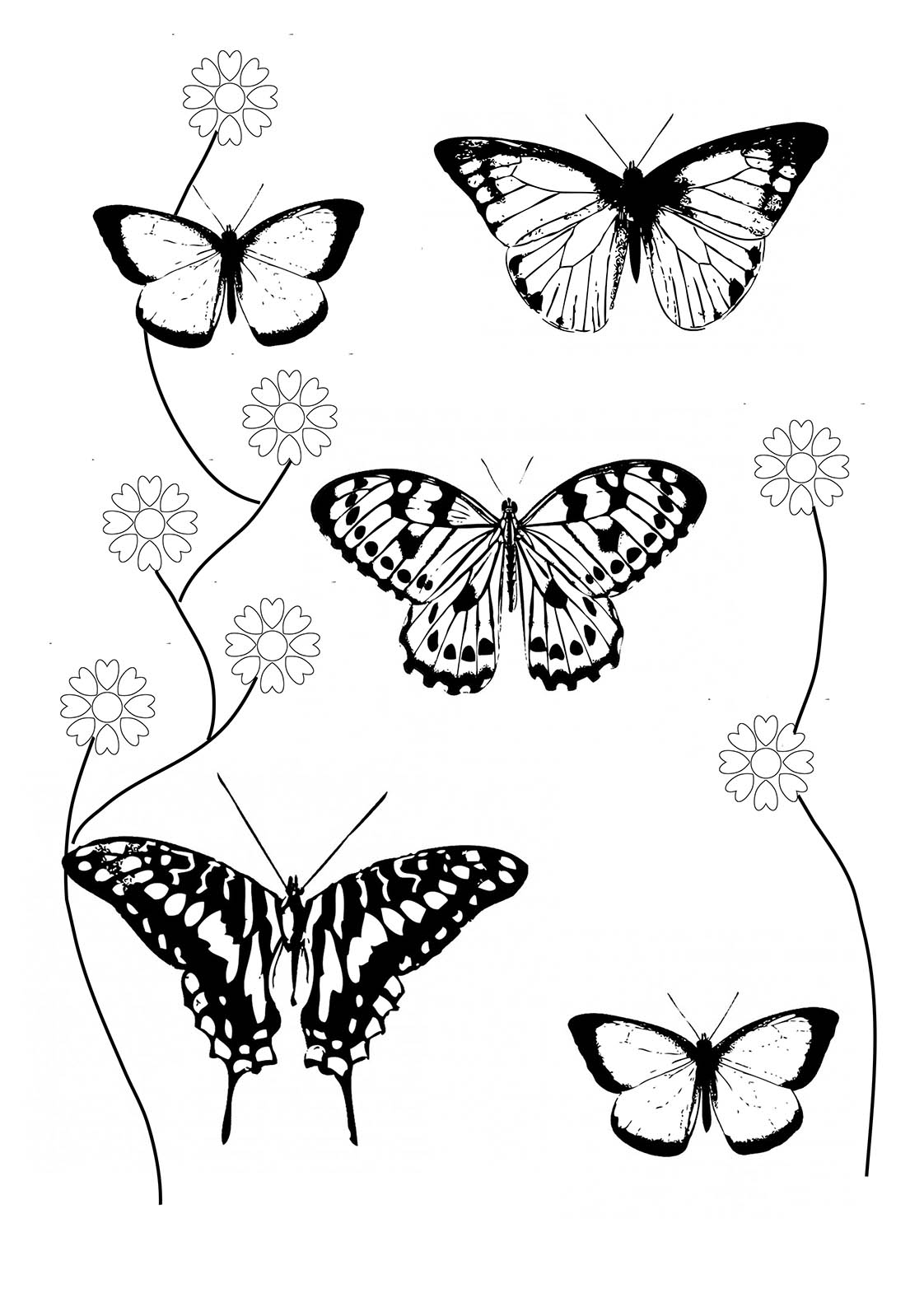 Coloring Picture Of A Butterfly 61