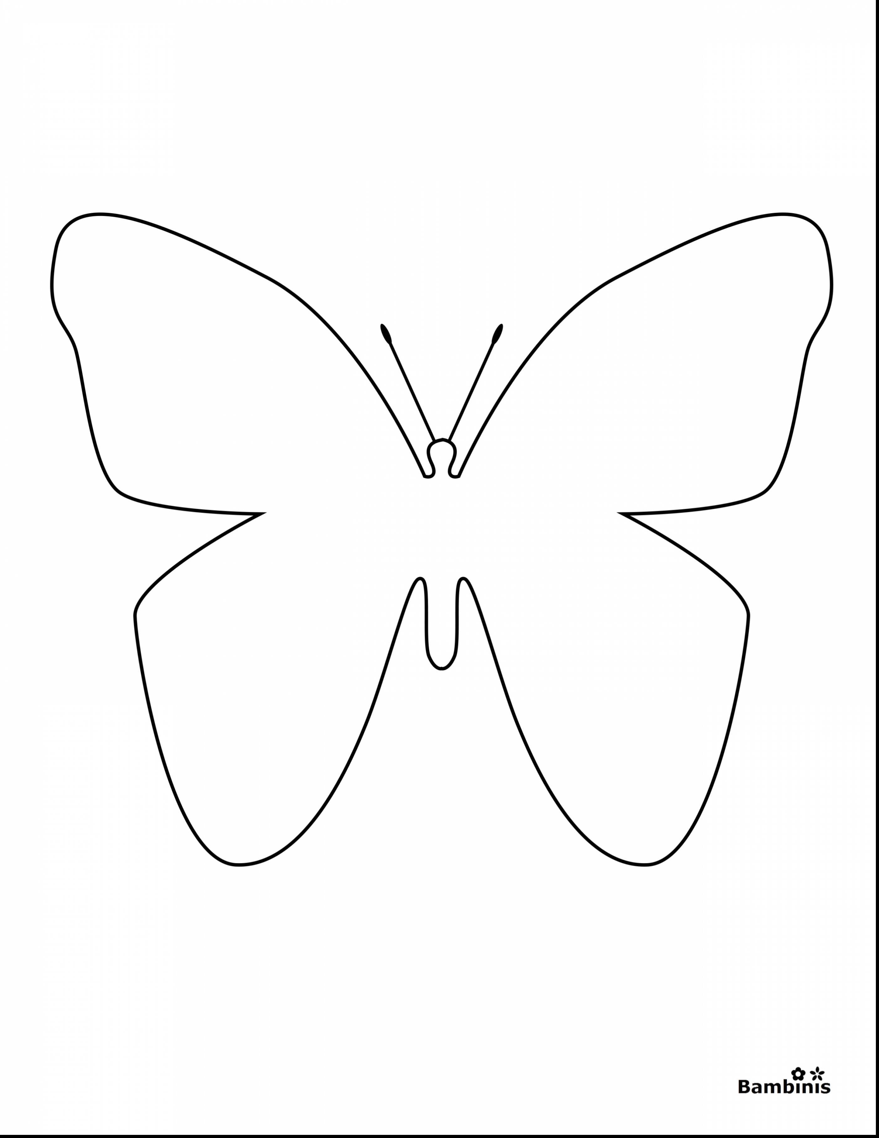 Coloring Picture Of A Butterfly 64