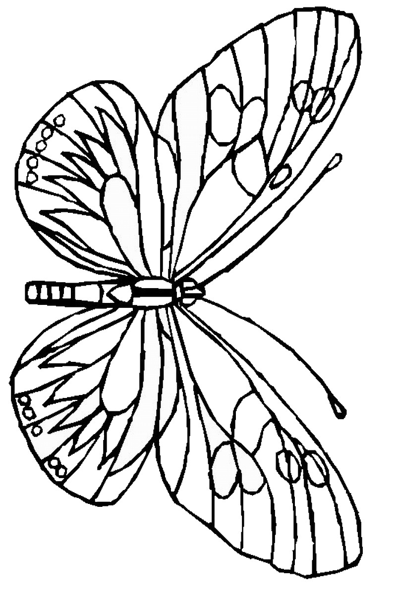 Coloring Picture Of A Butterfly 7